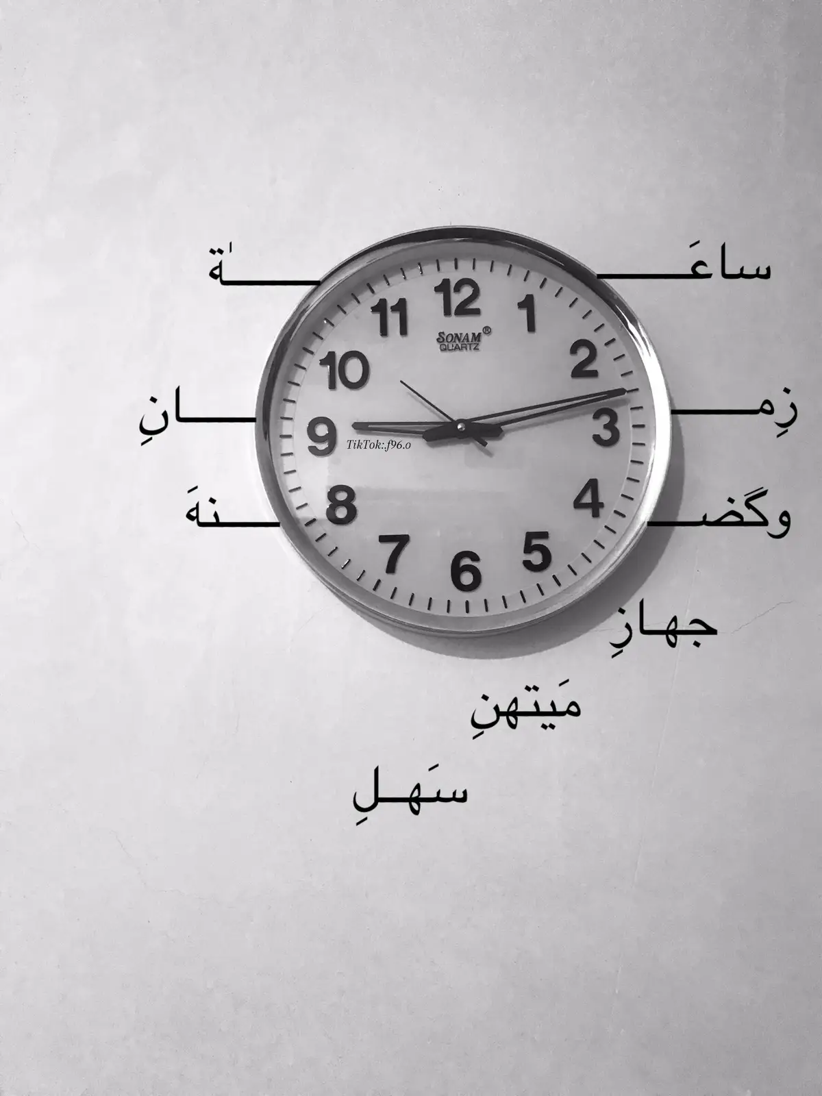 #غريبه هَل حكايه #سيد_سلام_الحسيني  #الحسين_ثورة_خالده  #العقيله__زينب  #قصائد_حسينيه  #الاربعينيه  #مشاية_الامام_الحسين 