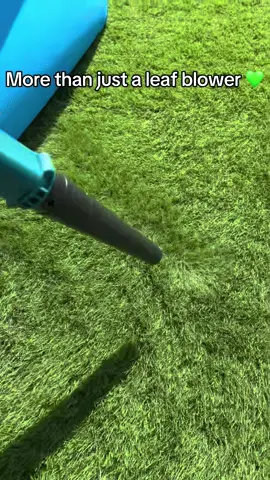 #leafblower #artificialgrass #vacuum #lightweight #garden #gardening #autumn #autumnleaves 