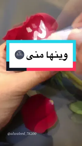 منشنوا منى 🏃🏻‍♀️🫣@منى @nlz5kpyr92k @منى 🦁🦅🇪🇬 @منى 🇨🇦🇹🇳 @منى ✨ @منى 👑♥️❤ @منى ❤️ @منى 🫧 @منى بنت الحارة/ mona area gril @منى عبده ✿ @منى | ur fav’ ukhty ☀️ @منى @منى | Artist 🎨 @منى 💗 @منى🇪🇬♥️🇸🇦 @منى | Mona @منيyat @منى الغامدي🇸🇦 @منى||muna @منىَ @منى🤍 @منى | Mona @منى @منى 2005 #خطي #خط #منى#الخطاط_وليد_النمي #كتابة_أسماء #كتابة_عالورد #اليمن 