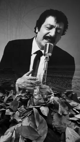 #acımıyorsan  #müslümgürses #tekaşkmüslüm🅱️🅰️🅱️🅰️️👑👑👑  #babamüslümgürses🔥👑🅱️🅰️🅱️🅰️👑  #müslümbabaaşkı  #müslümgürsesşarkıları  #müslümgürsessözleri 