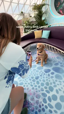 my bestie for the week 🥹 @Royal Caribbean #staroftheseas #sailor #chiefdogofficer 