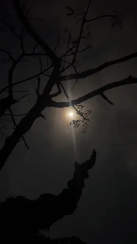 𝐖𝐚𝐝𝐧𝐚𝐡𝐚 𝐝𝐡𝐚𝐪𝐝𝐡𝐚𝐪𝐚𝐚𝐪𝐚 𝐰𝐚𝐝𝐚 𝐡𝐚𝐥𝐛𝐨𝐰𝐥𝐚𝐡𝐚 𝐝𝐡𝐢𝐢𝐠𝐚 𝐡𝐚𝐠𝐚 💕🫶