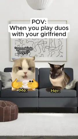 The ending💀 #catmemes #relatable #Relationship 