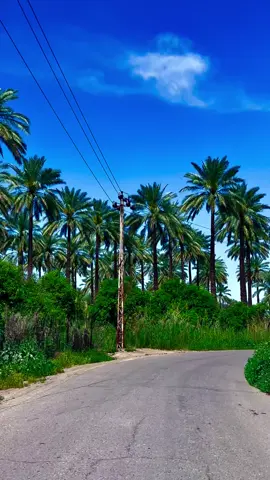 #تصويري📸اكسبلوور♥️🙂 #طارميه_مشاهده #التاجي #العبايجي_المصلحيه #الزور #الطابي #بغداد_بصرة_موصل_الكويت_الخليج_دبي #منصور #ابوغريب #زيونه #لايكاتكم_مع_اكسبلووور #تعليقاتكم_لايك_كومينت_اكسبلور #ناصريه_كوت_حله_سماوه_اربيل_دهوك_احبكم_ #اربيل_دهوك_سليمانية_كركوك_بغداد #دهوك_ئاکڕێ_زاخو_ئامێدی_بەردەرەش_شێلادزێ #مشاهير_تيك_توك_مشاهير_العرب🌺💜 #هواجس #هشتاك_تيك_توك #تيك_توك_جدة #هواجيس_الليل #رمادي_الانبار #ميسان_ذي_قار_البصرة_بغداد #كربلاء_المقدسة #نجف_الشرف #فلوجه #ديالى_بعقوبة #مثنى #سعوديه🇸🇦يمن🇾🇪بحرين🇧🇭قطر🇶🇦مغرب🇲🇦سوريا🇸🇾 #صعدوو_ءڪڪسبلور_للايڪ_متابعه #فجرولي_الفيديو_لايكات_واكسبلووووووووور #شعب_الصيني_ماله_حل😂😂 #فولو🙏🏻لايك❤️اكسبلور🙏🏻🌹💫 #متابعه_ولايك_واكسبلور_فضلا_ليس_امرأ 