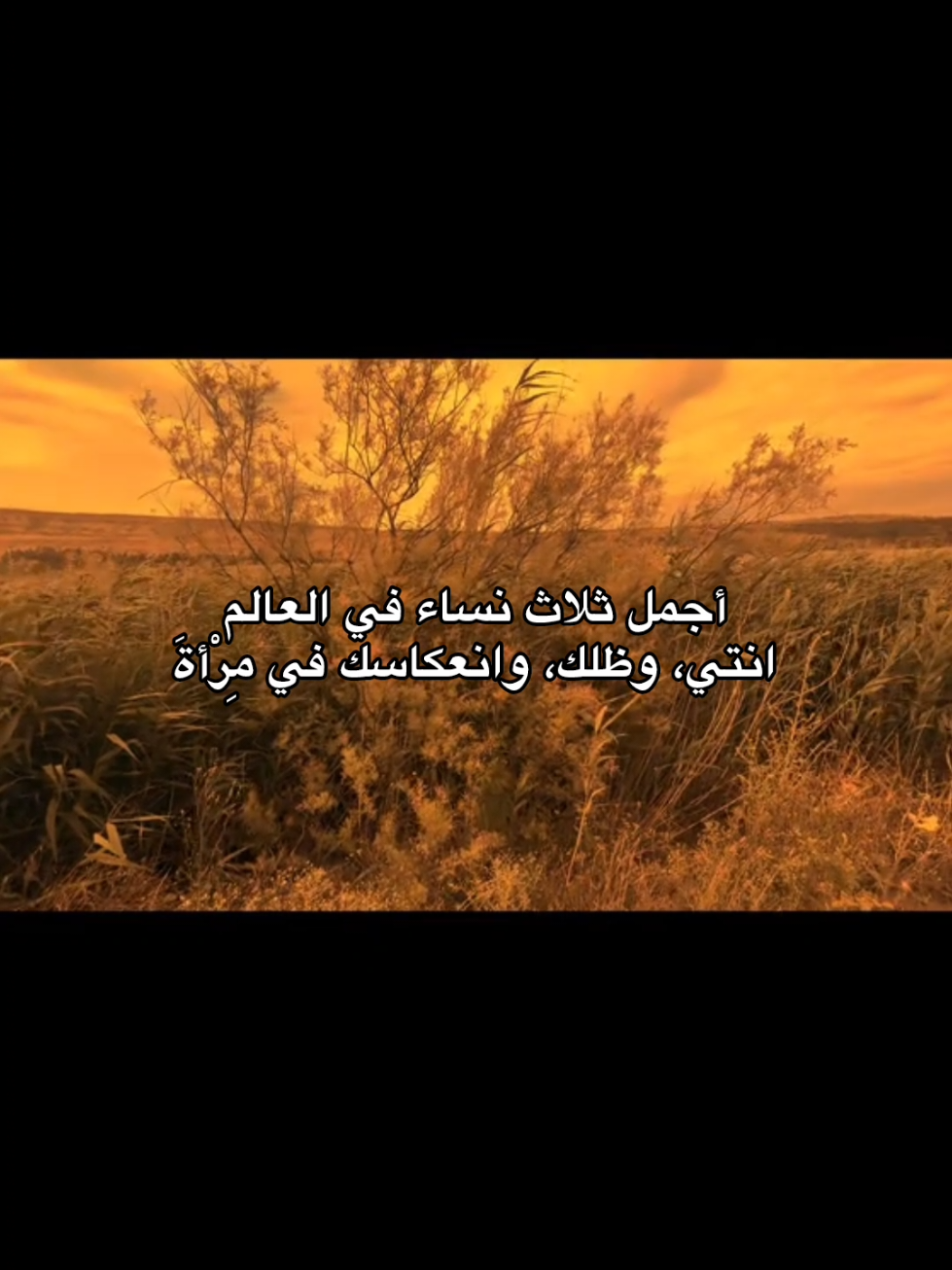 #اقتباسات #عبارات #lovequotes #sadquotes #foryoupage #Spidey #كلمات 