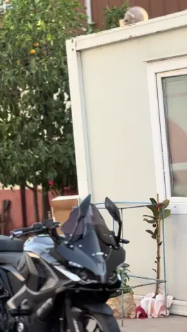 #rs200 #bajaj #ns200 #pulsar #racing #🖤 #rs 