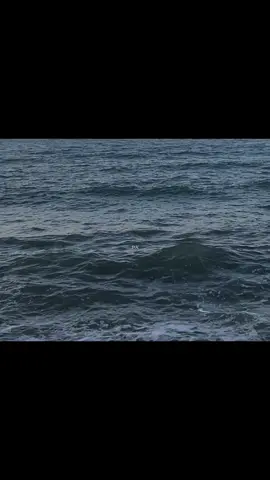 Kalpsizsin, kalpsiz… #viraltiktok #serdarortaç 