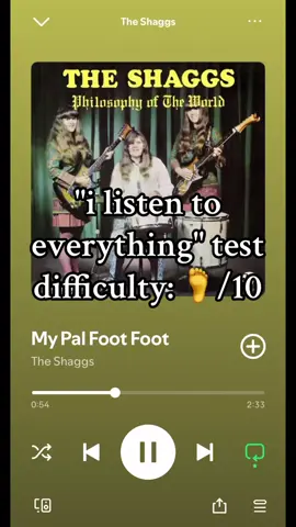 i dont think i could give this an actual rating because i find this much more unlistenable than harsh noise which is already a 10 on my scale soooooo #musictaste #musictastechallenge #ilistentoeverything #experimentalmusic #theshaggs #outsidermusic 