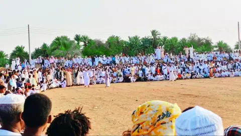 #نهرالنيل_الدامر_عطبره_الزيداب #زمراويك_يجرحك_ويداويك_ #نقرشه_زمراوي🔥 