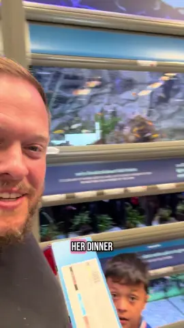 A day out talking Bangladeshi food 😂🇧🇩 #bengali #sylhet #interracialcouple #mixedcouple 