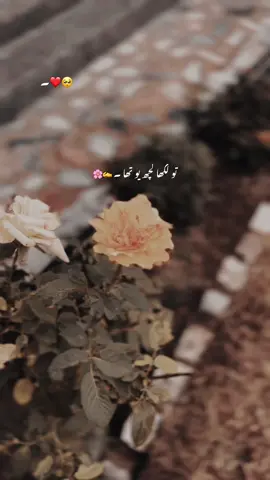 یہ لائنز میں اور میری دل کی درمیان ہے ۔ 🥹#poetry #foryoupage #viral #foryou #unfreezmyaccout #CapCut 