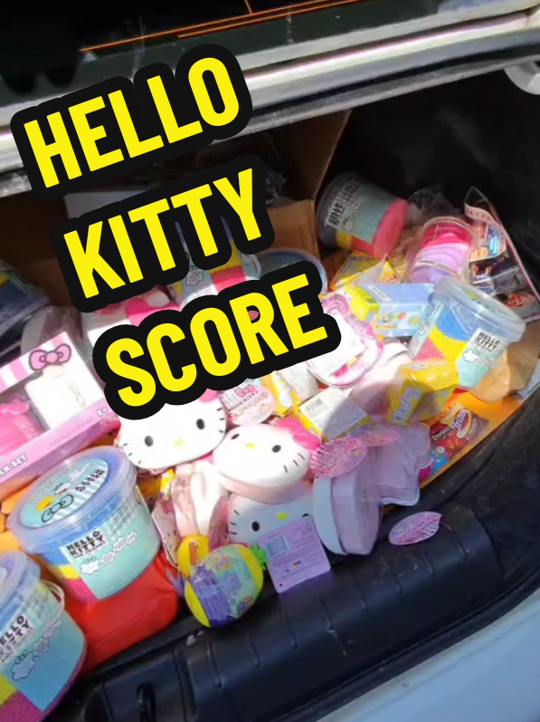 HUGE HELLO KITTY SCORE!!! #DUMPSTERDIVING #dumpsterdivingmama #DUMPSTERDIVER #dumpsterdiversoftexas 