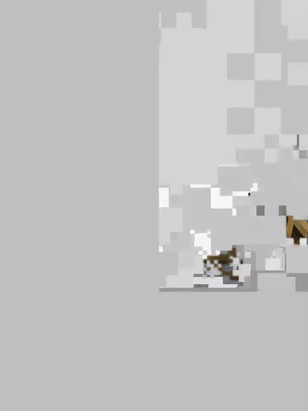 Cómo tener EXPERIENCIA INFINITA en Minecraft usando ARMADILLOS🧠💎 #Raion #Minecraft #gaming #gamerentiktok #fyp #minecrafttutorial