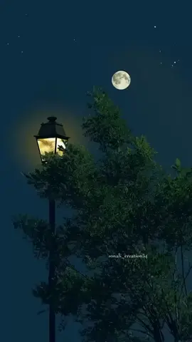 dard hua dard hua dil ko thoda dard hua  #songlytics #viral #foryou #unfreezemyacount #foryoupage❤️❤️ #donotcopyrightclaimed #songlyrics #newsong #arijitsingh #fyp #viralcopy #viral #video #foryou #dardhuadarhua 