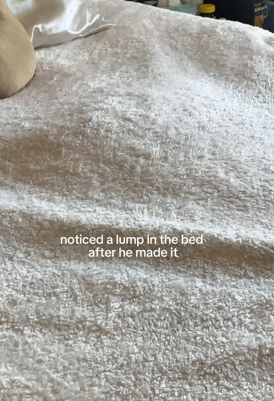 As if that isn’t his son 😔 #jellycat #jellycatamuseables #gracieabrams #iloveyouimsorry