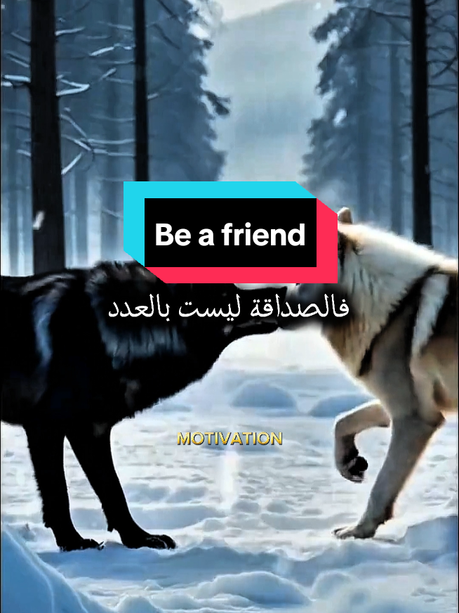 من يمتلك صديقا عظيما فلن تهزمه الحياة أبدا He who has a great friend will never be defeated by life #اقتباسات #حالات_واتس #تيك_توك #اكسبلو #ترند #تحفيز #خواطر #ستوريات #عبارات #كلام_من_ذهب #motivation #motivationalvideo #motivationmonday #motivationalquotes #tik_tok #fyp #viral #explore #tranding #السعودية #العراق #سوريا #الأردن #عمان #الكويت#البحرين #قطر #لبنان #ليبيا #المغرب🇲🇦 #مصر🇪🇬 #الجزائر #تونس #france #italy #اليمن 