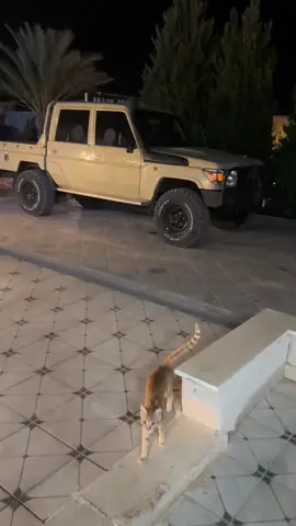 #الزاوية_العنقاء_طرابلس_صبراتة_مصراتة🔥🇱🇾 #زنتان_تااغرمين_الوااشين_🔥🦅 #الزاويه_العنقاء_ليبيا👌🏻🇱🇾❤️🔥_العوزيه #viralvideo🔥 