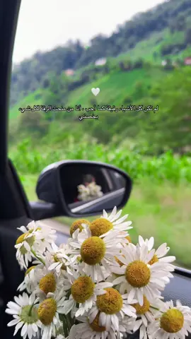 #تصويري📸 #السعاده♡♡لقوبكم #ايجابية_التفكير #خوطر #اقتباسات #جرعات_تفاؤل #طرابزون_تركيا🇹🇷 #ايدر #الامارات_السعوديه_الكويت_البحرين_عمان #creatorsearchinsights 