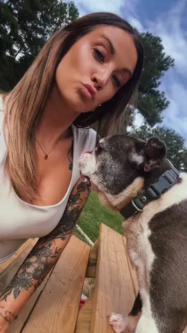 #creatorsearchinsights #viral #fyp #momsover30 #MomsofTikTok #canecorsoitaliano #canecorso #frenchiesoftiktok #dogsoftiktok 