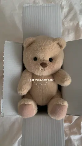 my new bear ₊˚⊹ ᰔ @Getahug.co LELELUV15 for 15% off🥹🎀 #getahug #bear #giftidea #cute #aesthetic 