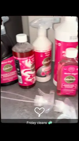 #cleaningtiktok #fyp #snowfairy #cleans #pink🩷🤍 #fabulosomundoanimal 