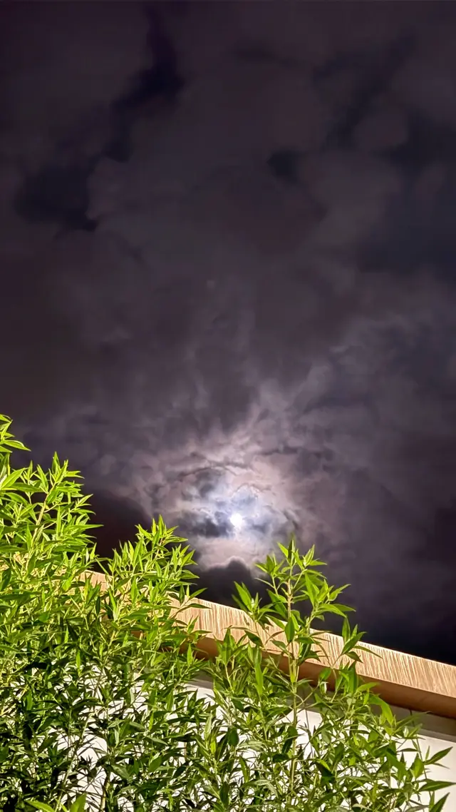 #سبحان_الله_وبحمده_سبحان_الله_العظيم #لااله_الا_انت_سبحانك_اني_كنت_من_ظالمين #الله_اكبر #سبحان_الله_وبحمده_سبحان_الله_العظيم 