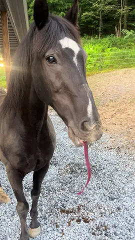 The little head nod after is it yummy!🥹