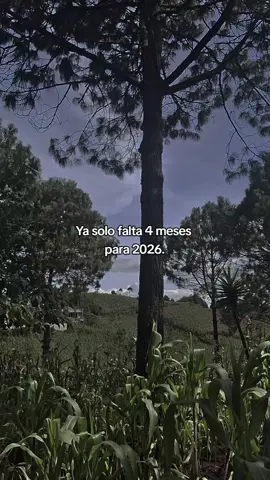 #🖤🖤 