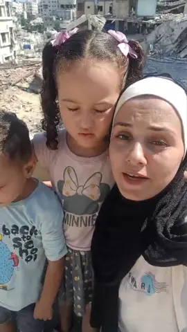 #creatorsearchinsights 