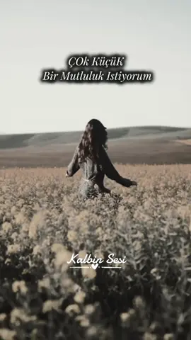 #kalbinsesi #fyp #fypシ゚viral🖤tiktok☆♡🦋myvideo #NazımHikmet #çok #küçük #bir #mutluluk #istiyorum 
