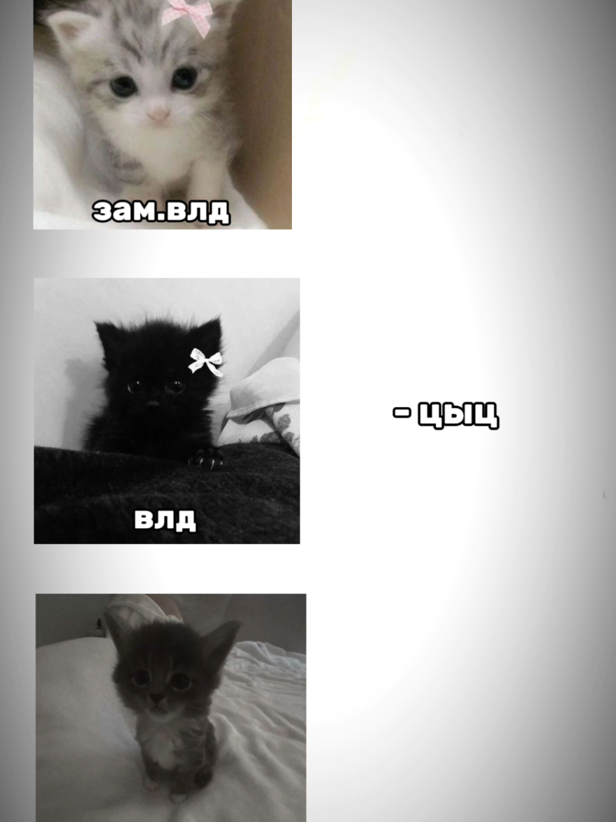 бот: @lichiksolnza_bot #ботподдержки #fyp #мывасждем #рек #рекомендации #ботподдержки #fyp #рек 