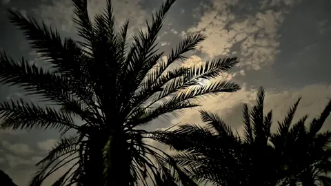 #الصوت 💔..                  #محمد_بن_فطيس #بندر_بن_عوير #أكسبلور #foryou 