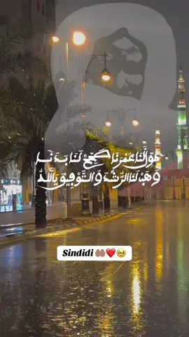 Sindidi ❤️😭 #mouride #khassida  #mouride_sadikh_officiell #amine #dua 
