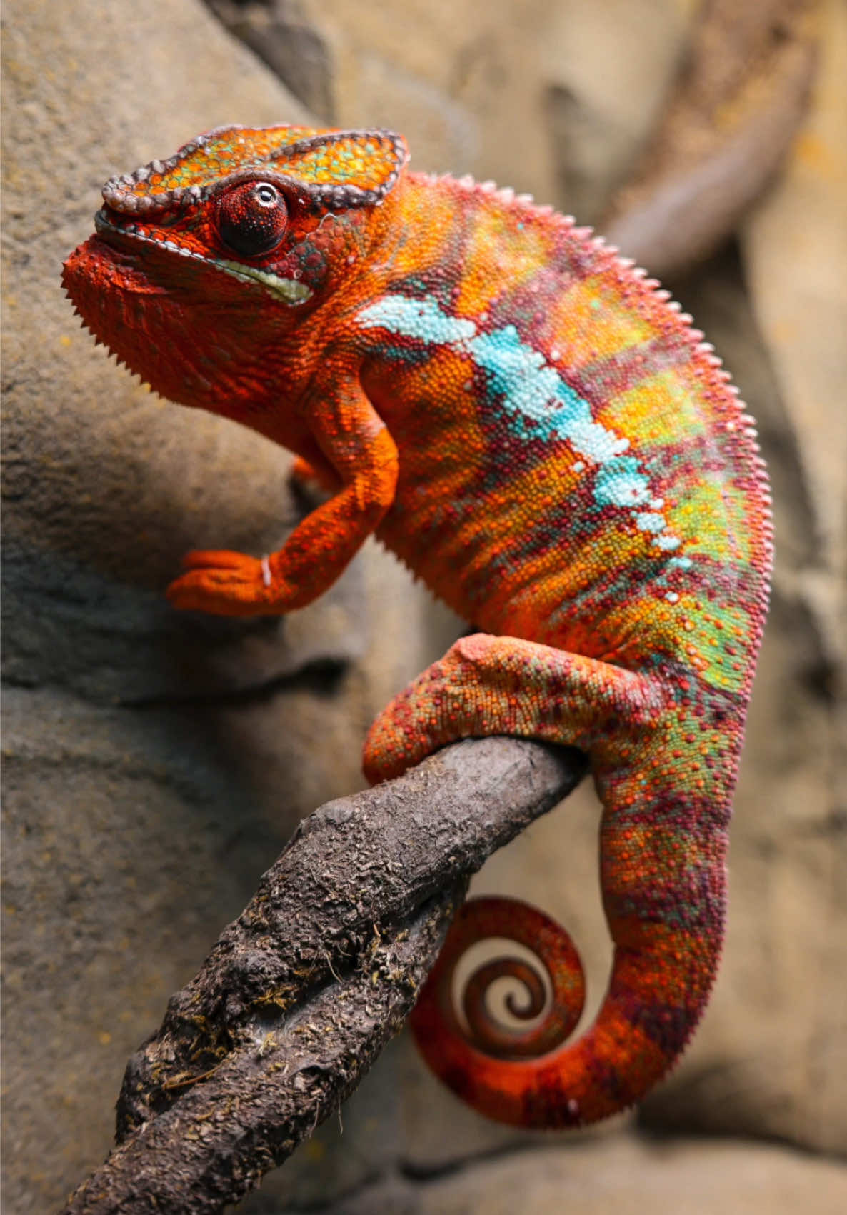 Rainy days in the fish building>