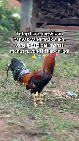 #katakatafungkot #fyp #4u 