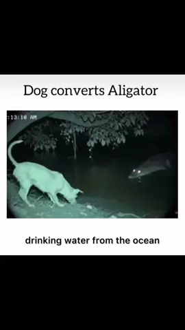 #funny #fyp #foryou #foryoupage #viral 