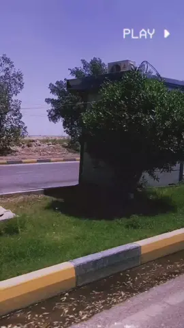 #احيكم_يااحلا_متابعين #ايران_والعراق_لايمكن_الفراق #كركوك_طريق_بغداد #ميدار_حبي_انفهق #اسراىيل_شر_مطلق #اسراىيل_شر_مطلق #المجر_الكبير #صعدوو_ءڪڪسبلور_للايڪ_متابعه #طشونيييييييييي🔫😂🥺🐸💞 #احبكم 