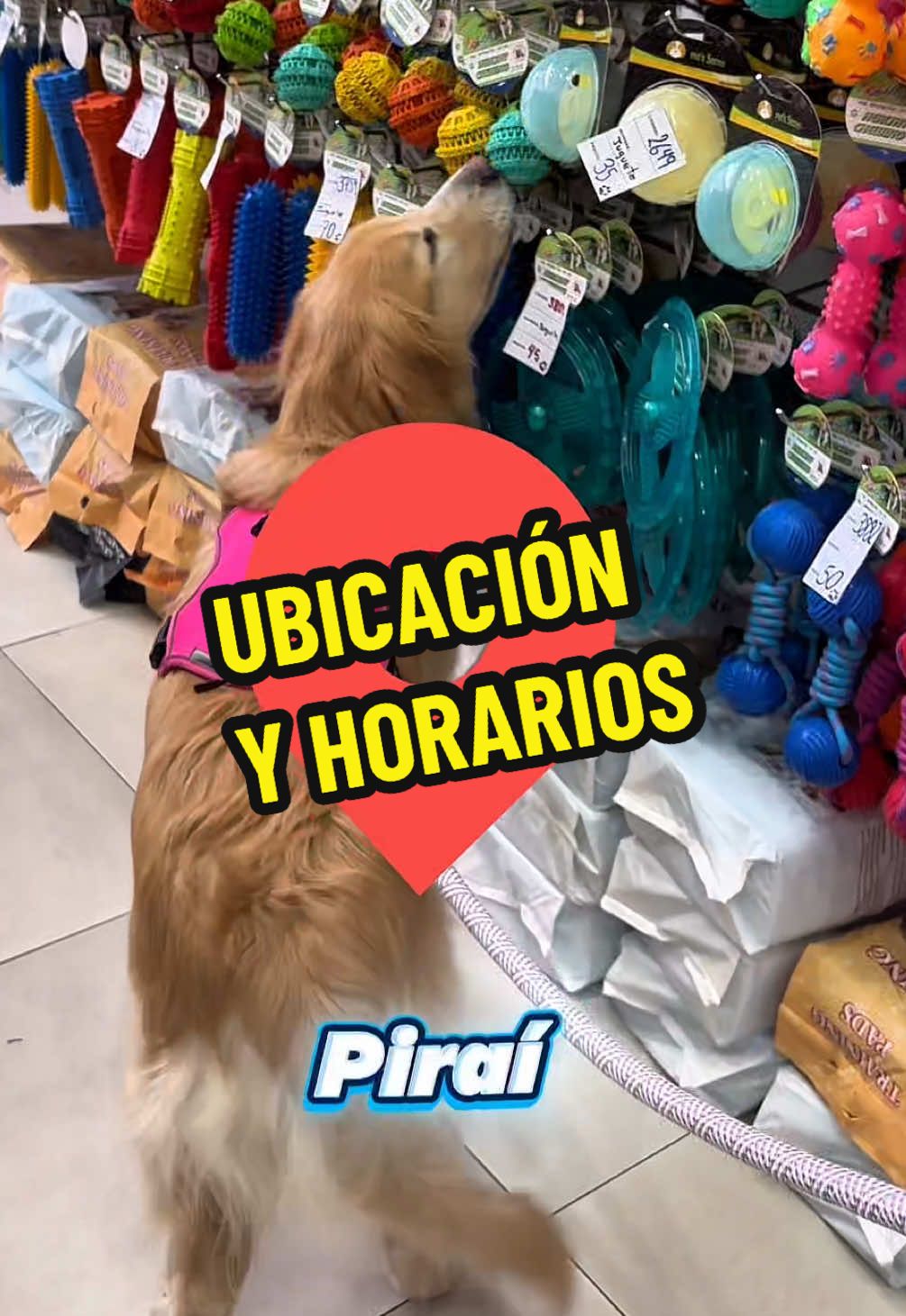 ✨ Pet Vogue Santa Cruz 🐾 Te recuerda nuestros horarios de atención: 🗓️ Lunes a sábado 🕘 De 9:00 a. m. a 8:00 p. m. 📍 Ubicación: Avenida Piraí, entre Segundo y Tercer Anillo, a una cuadra y media antes del Mercado Abasto Antiguo, Centro Comercial Montaño, Local Nº 3. 🐾 ¡Te esperamos para engreír a tu mascota! 🐾  #petvogue #petvoguescz #petshop #petshopbolivia #accesoriosparamascota #sanroque #diadelgato #ventaspormayor #mercadoabastoantiguo #pirai #peluditos 