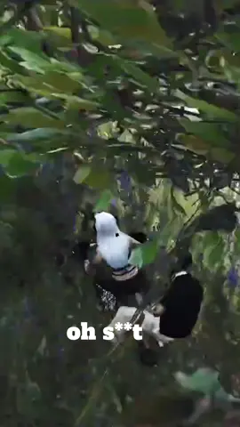 El único poste #fyp #FamilyRP #gtaroleplay #Azuune #OTAN 