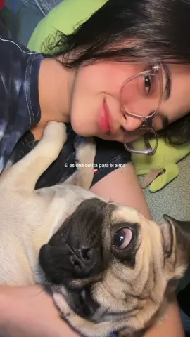 #pubglover #pug #amor 