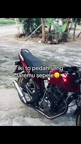 Ngatasi🤏🏻#fyp #herexjatim #walisongo #mpdhela #herex1200m #herex 