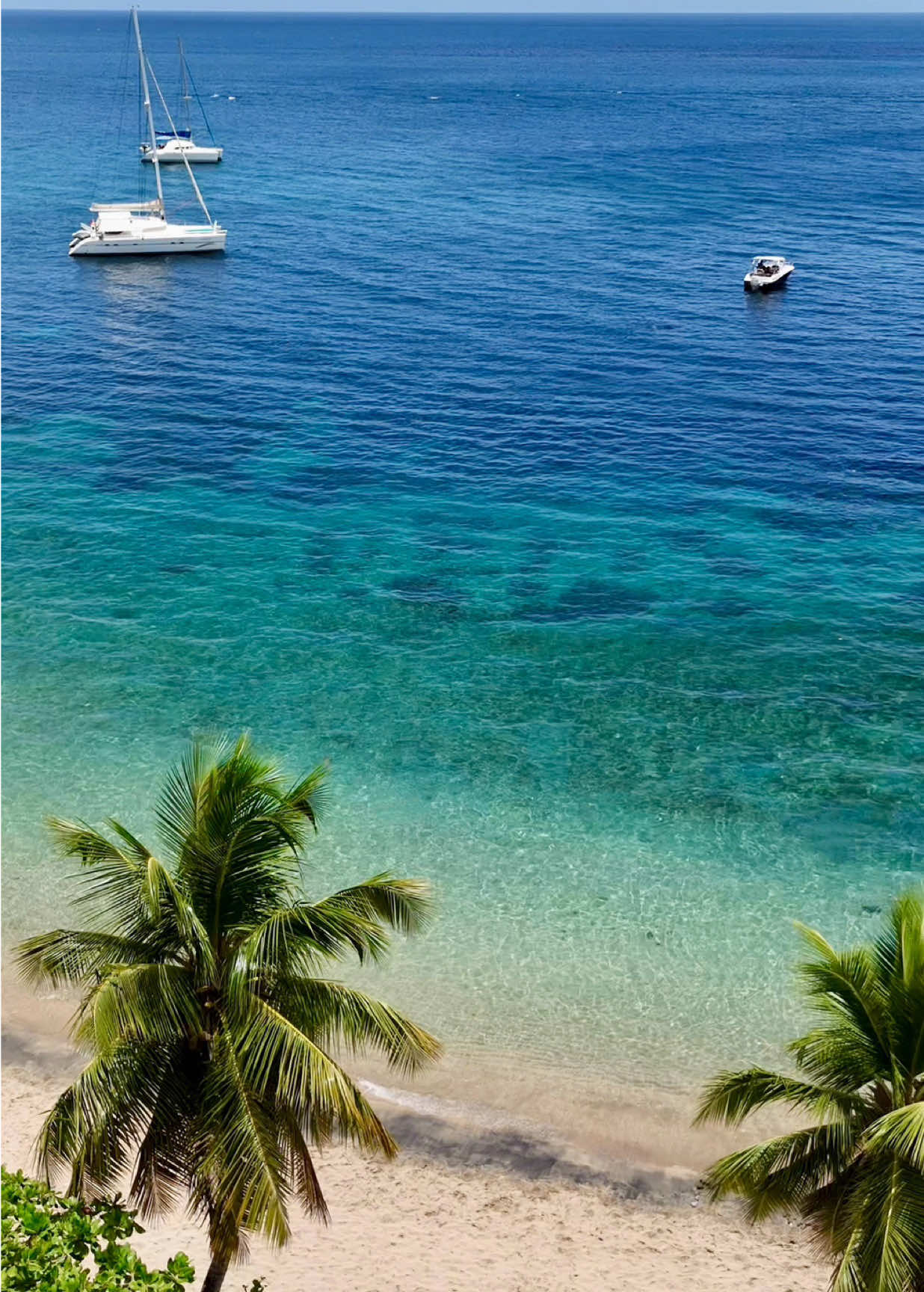 ☀️Anse Dufour ☀️ Pa bizwen palé 🇲🇶 #pourtoi #martinique❤️💚🖤 #martinique972 #plagevacances #plage #nature #paradise #vacances #cocotier #djiflip #dronevideo #voyage #antilles #antilles972 #martinique #paysage #madinina #mada #soleil 