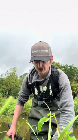 Loving this style of fishing the past few weeks😁#lurefishing #watch #fishing #videos #lure #catch 