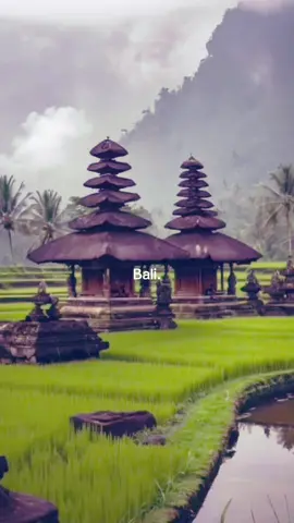 #bali #beautiful #beach #fy #fyp #need #firyoupage #viral_video #palmen #sunset #flowers 
