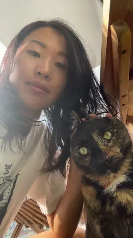 24 karat gold ⚜️ #labewbew #trend #catsoftiktok 