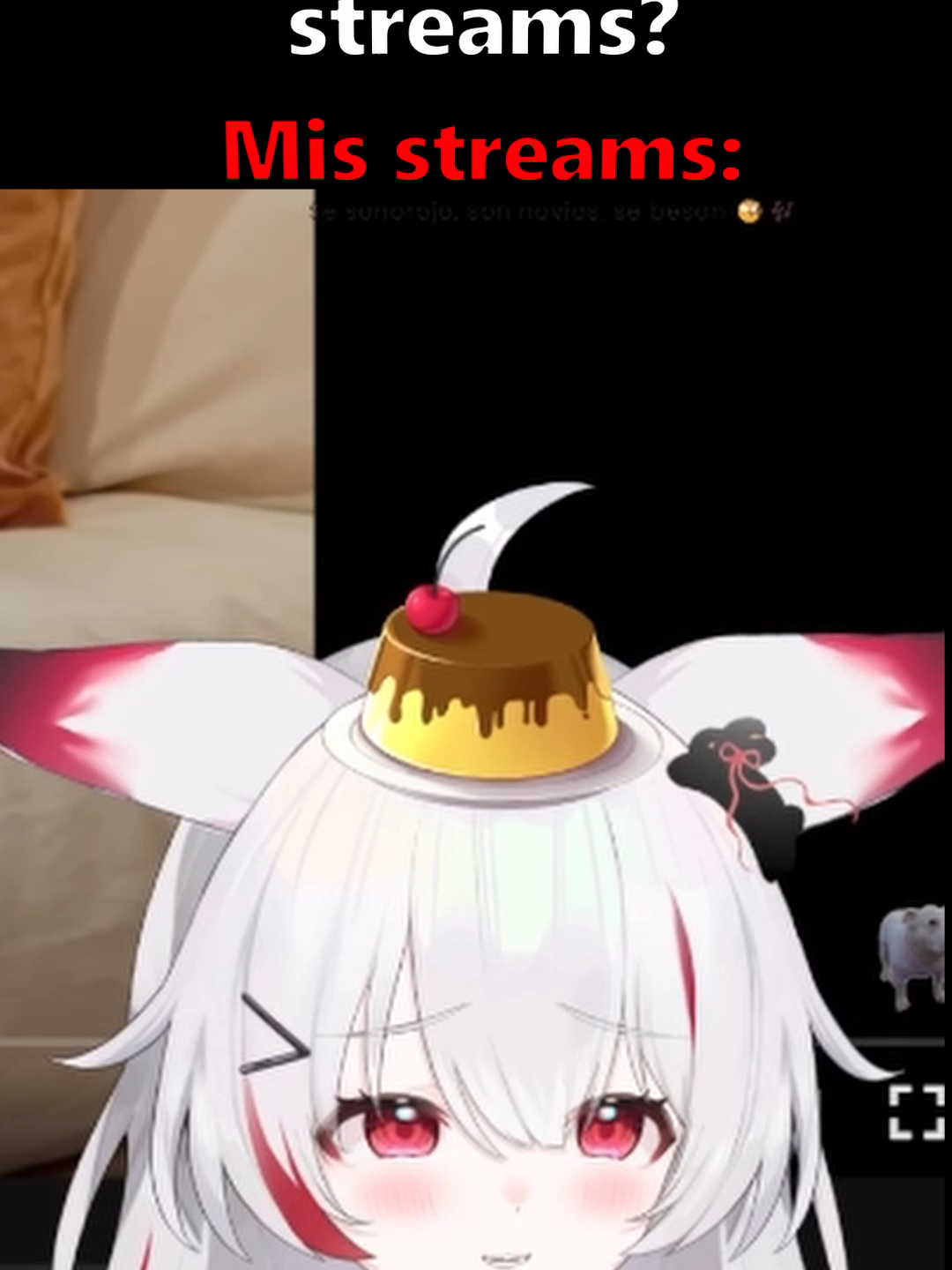 Vean mis streams cuyeyos :c #VtuberES #vtuberclips #humor #memestiktok #koumicherie #fyp #gracioso #vtuberespañol #twitch #twitchstreamer #anime #miau #argentina