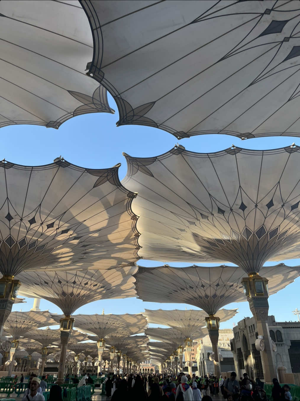 Masjid Nabawi, selalu tenaaaangg damaaaaii tiap sholat di sini 🕌🤎 Masya Allah 🥹🥹 #nabawimosque #masjidnabawi #madinah #medina #madinahalmunawwarah #medinaalmunawaroh #saudiarabia #kingofsaudiarabia🇸🇦 #umrah2025 