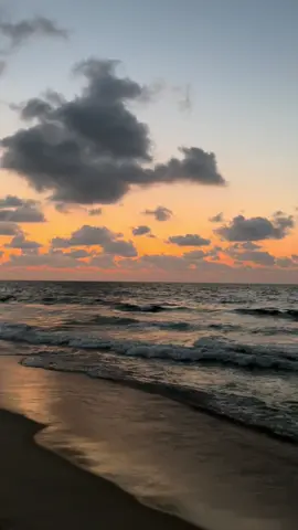 #سلطان #العريش 