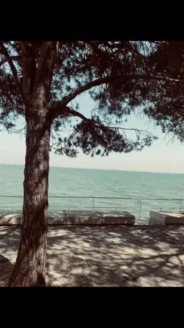 — ּ ۫ ִ ꣑୧ ִ ۫ ּ — || que foto linda vou chorar , free Live Photo || #fyp #sohfrita #dedicated #foryoupage #blackpink 