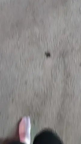 من يبوكون نعالك ولناس حسبالها قربان💔💔